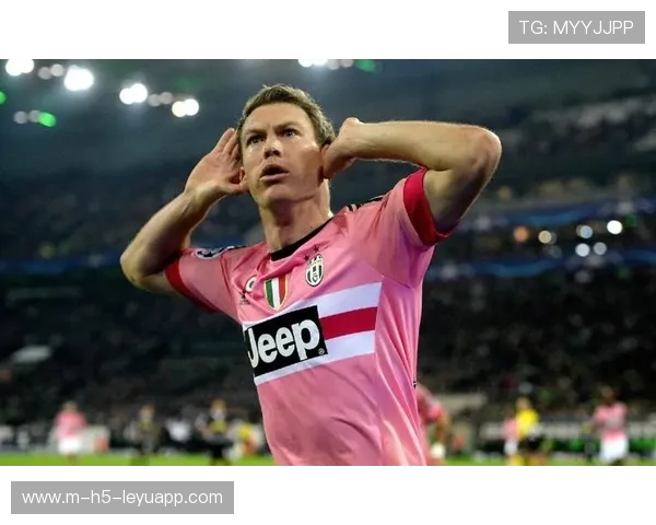 瑞士队灵魂人物宣布退役