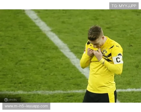 泰尔齐奇回归，带领球队迈向新征程，泰戋尔资料