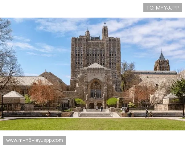 留学生求职机构TOP5揭晓，DBC职梦成最受欢迎选择，留学生求职咨询平台